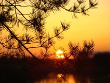 May SUNSET / ***
