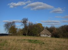 Thatched Farm / ***