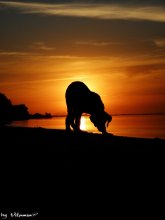 Sunset / ......