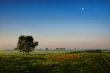 Morning in the village / ***