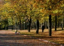 In the park / ***