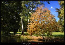 Autumn stories (part 4) / ***