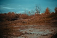 Autumn / *****