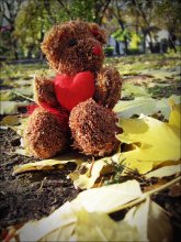 Teddy / ***