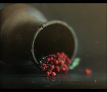  / .........................