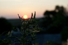 Sonnenuntergang / +_++++))