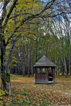 An abandoned hut) / ***
