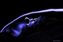 Light & Night / **********