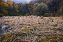 Autumn colors / ---------------