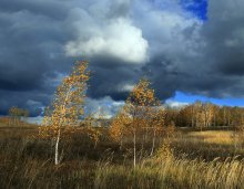 Windy. / ***