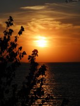&quot;Black&quot; Meer / ***