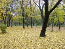 Beauty-October / ***