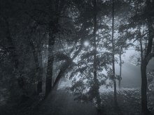 Filled with light .. / *****