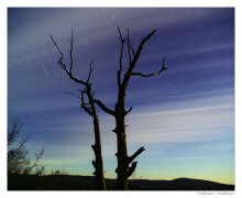 Alone with the stars / ***