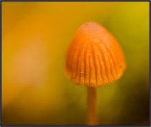 Hat is, perezimuem ... / ***
