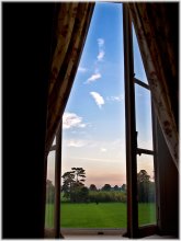 Window / ***