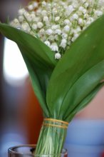 bis zum Frühjahr / **************