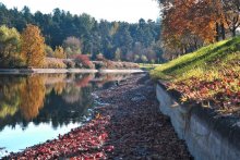 Autumn / ***