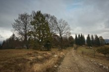 Carpathian Autumn road / ***
