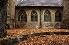 Umgerechnet Herbst / Braunschweig. Germany