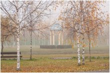 Morgen Nebel / ***