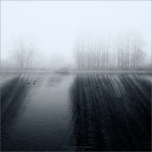 [ 5 5 5 ] / ***
