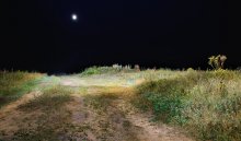 night ... / ***