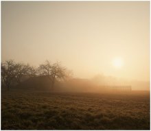 Village Morning / ********