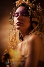Forest Witch / ***