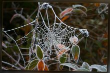 Winter macrame / ***