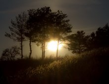 On the sunset / --------