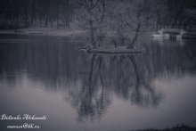 BW / ***