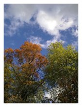 Last day of fall / 31.10.2010