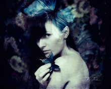 butterfly effect / ***