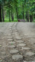 track / ***