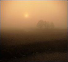 Foggy morning / ***