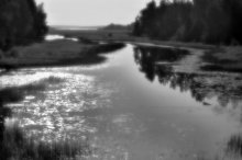 Backwater / ***