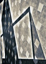 SHADOW / ***