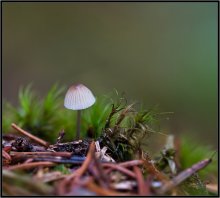 Letzte ... / ***