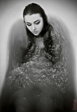 Angel / ***
