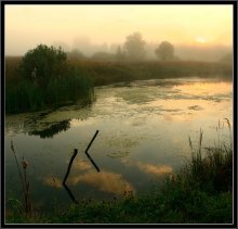 Morning / ***