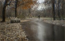 Autumn Marathon / ***