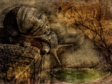 Dream of unfulfilled dreams ... / ***