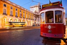 Tram number 10 / ***