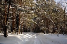 Forststraßen / -----