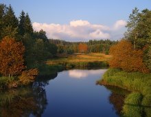 Autumn symptoms / .........................