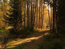 Morning Indian Summer / **********
