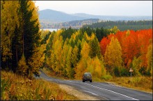 Autumn road / ***