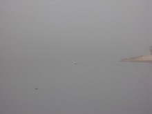 In the mist .... / ***
