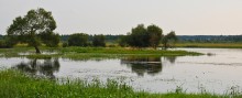 Meadows on the Berezina / ***